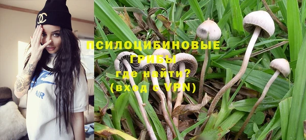 дживик Магас