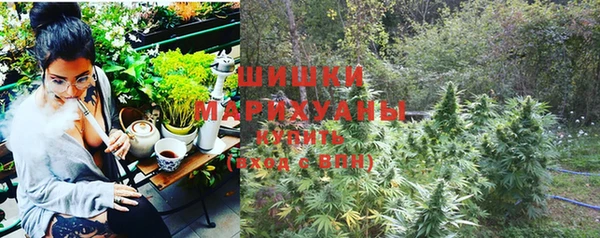 дживик Магас